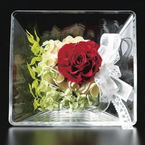 LEOタカオカ ガラス　Ｔ−１７６０ 142-1760-0 花器 花瓶 ガラス花器