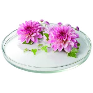 プラベプレートM GS012332 花器 花瓶 水盤 : はなどんやアソシエ