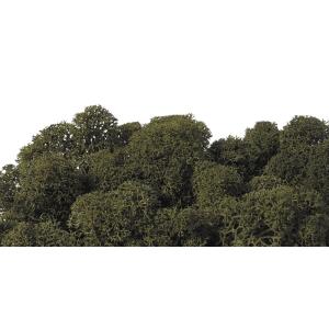 プリザーブド フロールエバー ノルディックモス 10ｋｇ バルク オリーブグリーン FL822-780※キャンセル 返品不可 プリザーブドグリーン モス 苔