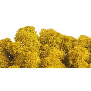 プリザーブド フロールエバー ノルディックモス 10ｋｇ バルク イエロー FL822-810 ※キャンセル 返品不可 プリザーブドグリーン モス 苔
