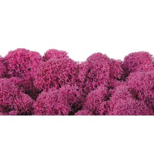 プリザーブド フロールエバー ノルディックモス 10ｋｇ バルク ピンク FL822-860 ※キャンセル 返品不可 プリザーブドグリーン モス 苔