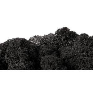 プリザーブド フロールエバー ノルディックモス 10ｋｇ バルク ブラック FL822-890 ※キャンセル 返品不可 プリザーブドグリーン モス 苔