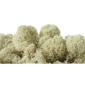 プリザーブド フロールエバー ノルディックモス 10ｋｇ バルク ナチュラル FL822-910 ※キャンセル 返品不可 プリザーブドグリーン モス 苔