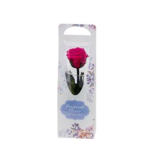 日限定07 プリザーブド フロールエバー ショートステムローズ フューシャピンク FL072025-58 プリザーブドフラワーギフト バラ1輪