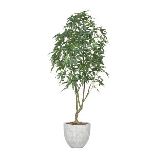 日限定21 直送 人工観葉植物 光の楽園 光触媒 ナチュラルパキラ2.5 組立式 2496A1600 ※返品 代引 キャンセル不可