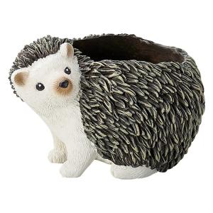 2025年10月】ハリネズミ（植木鉢）のおすすめ人気ランキング - Yahoo