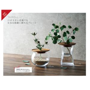 日限定07 Paseo アカシアのプレート 試...の詳細画像1