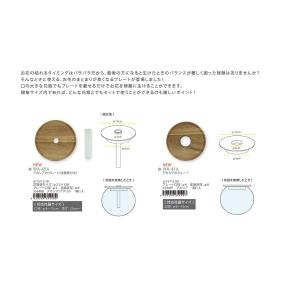 日限定07 Paseo アカシアのプレート 試...の詳細画像2