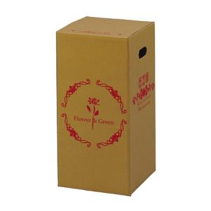 Gracias 宅配ボックス 上開きタイプ 花束 鉢物用 P-10 73110 50枚 ダンボール 宅配袋 ダンボール