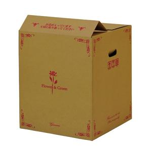 直送 Gracias 宅配ボックス 上開きタイプ アレンジ L 73113※返品 キャンセル不可 30枚 ダンボール 宅配袋 ダンボール