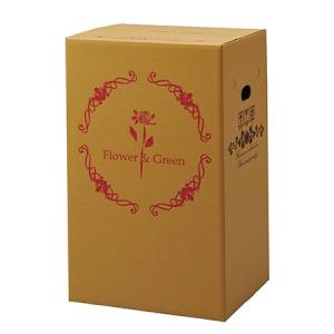 直送 Gracias 宅配ボックス 横開きタイプ 鉢物用 P-2 73102※返品 代引き不可 25枚 ダンボール 宅配袋 ダンボール