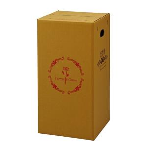 直送 Gracias 宅配ボックス 横開きタイプ 鉢物 蘭用 P-5 73105※返品 代引き不可 10枚 ダンボール 宅配袋 ダンボール