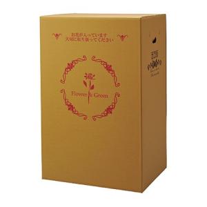 直送 Gracias 宅配ボックス 横開きタイプ 大型蘭用 P-8 73108※返品 代引き不可 10枚 ダンボール 宅配袋 ダンボール