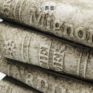 CARNAC ヴィンテージブック4-B-IV ...の詳細画像1