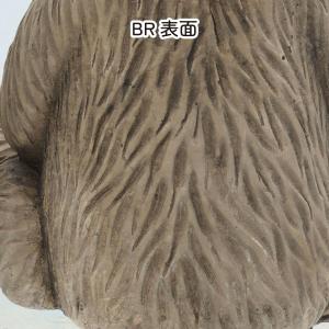CARNAC ヴィンテージバードA-BR ブラ...の詳細画像1
