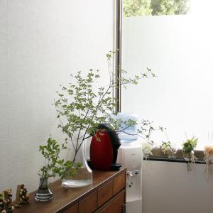 ボブクラフト ファゴット L 650-1C 花...の詳細画像3
