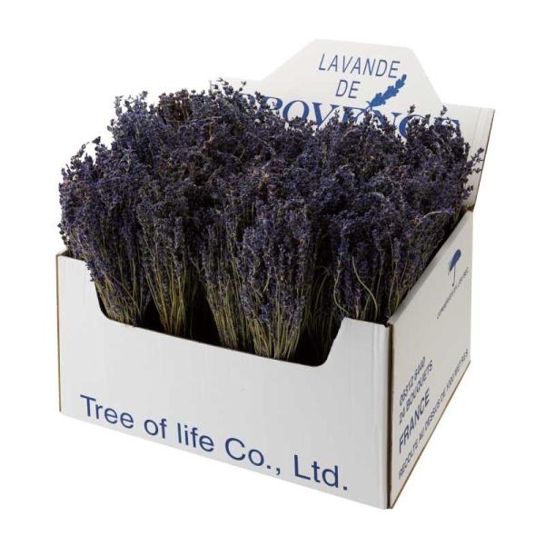 生活の木 真性ラベンダー束 ディスプレイ箱入 1束約80g×24束  06-12-6450 ドライフ...