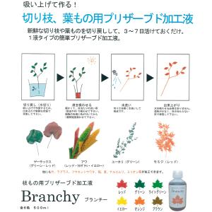 日限定07 パレス化学 ブランチー 500ml...の詳細画像1