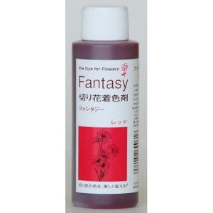 パレス化学 ファンタジー 100ｍｌ レッド 1520201 生け花