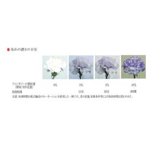 パレス化学 ファンタジー 100ml ミント ...の詳細画像3