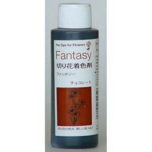 パレス化学 ファンタジー 100ｍｌ チョコレート 1520213