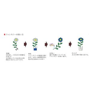 パレス化学 ファンタジー 100ml ルビー ...の詳細画像2