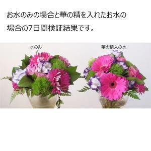 日限定08 パレス化学 華の精 20L ポンプ...の詳細画像1
