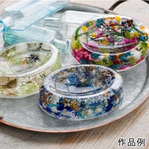 固まるハーバリウム COOL A*RT 3Dプレミアム 1.6L (A液800ml・B液