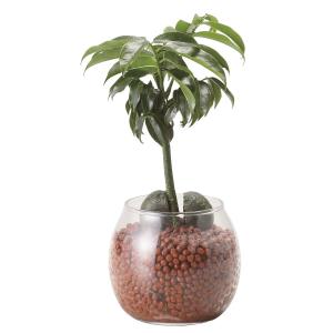 イタリア製/フラワーベース/壷・花瓶 : セカンドストリートYahoo!店
