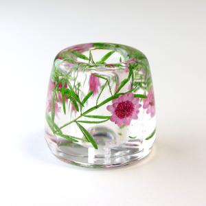 固まるハーバリウム COOL A*RT 3Dプレミアム 1.6L (A液800ml・B液