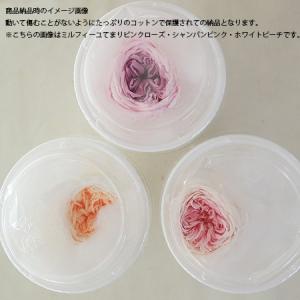 日限定10 プリザーブド 1輪販売 大地農園 ...の詳細画像1