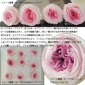 日限定10 プリザーブド 1輪販売 大地農園 ...の詳細画像2
