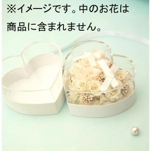 日限定07 Hacocoro イル クオーレ ...の詳細画像1