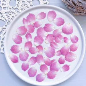 日限定10 ドライ m flowers 押し花 ...の商品画像
