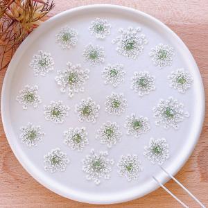 日限定08 浮游花 クリアケースハーバリウム200ml丸瓶 角瓶 ヴィノ