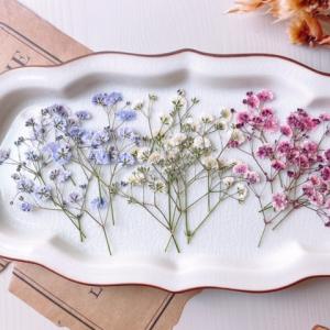 押し花・ドライフラワー花材 Ne* 日限定07 ドライ 押し花 ブルー系デザインパック 35輪 1-01B ドライ