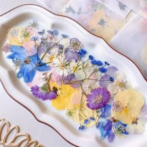 日限定10 ドライ m flowers 押し花 マトリカリア ダブルラテ ドライ