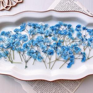 押し花・ドライフラワー花材 38 partsworldjp_parts-deco74 押し花・ドライフラワー花材