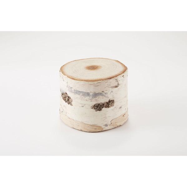 ビダヤコム バーチトランク Ｍ  ホワイト JS0026-001W 6個 デコレーションパーツ 素材...