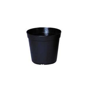 welzo Nポット40 ブラック N-40 ブ...の商品画像