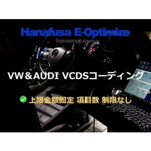 【上限金額固定】VW/AUDI VCDSコーディングサービス