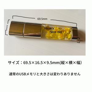 手作りUSB 16G 固まるハーバリウム お花...の詳細画像3