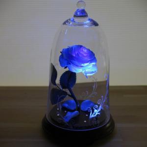 美女と野獣 バラ プロポーズ プリザーブドフラワー の商品一覧 花 ガーデニング 通販 Yahoo ショッピング