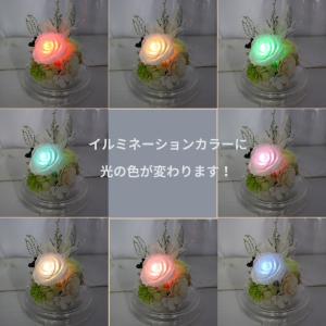 偲ぶ花 光るプリザーブドフラワー 七色カラー ...の詳細画像1