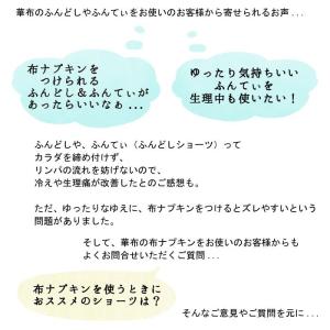 布ナプキン専用エアリーショーツ クロッチ二重タ...の詳細画像3