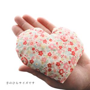 国産無農薬玄米カイロ ハート型 ミニサイズ ゆ...の詳細画像1