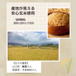 国産無農薬玄米カイロ ハート型 ミニサイズ ゆ...の詳細画像5