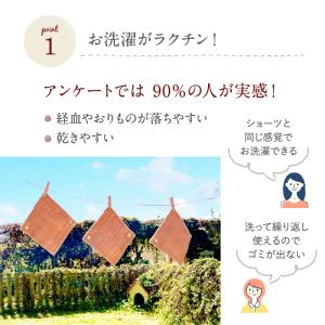 布ナプキン おりもの ライナー オーガニック ...の詳細画像5