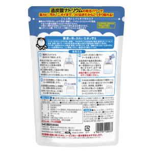 洗たく槽クリーナー 500g 洗濯槽 洗濯槽ク...の詳細画像1