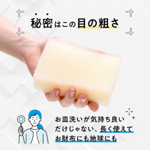パックスナチュロン キッチンスポンジ 太陽油脂...の詳細画像3